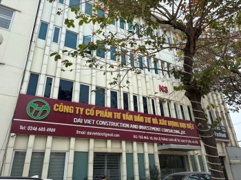 Công ty Cổ phần Tư vấn Đầu tư và Xây dựng Đại Việt